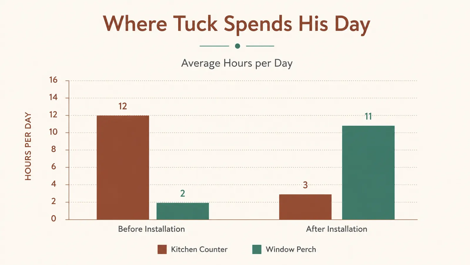 Bar chart comparing hours per day a cat spends on a window perch versus a kitchen counter before installation