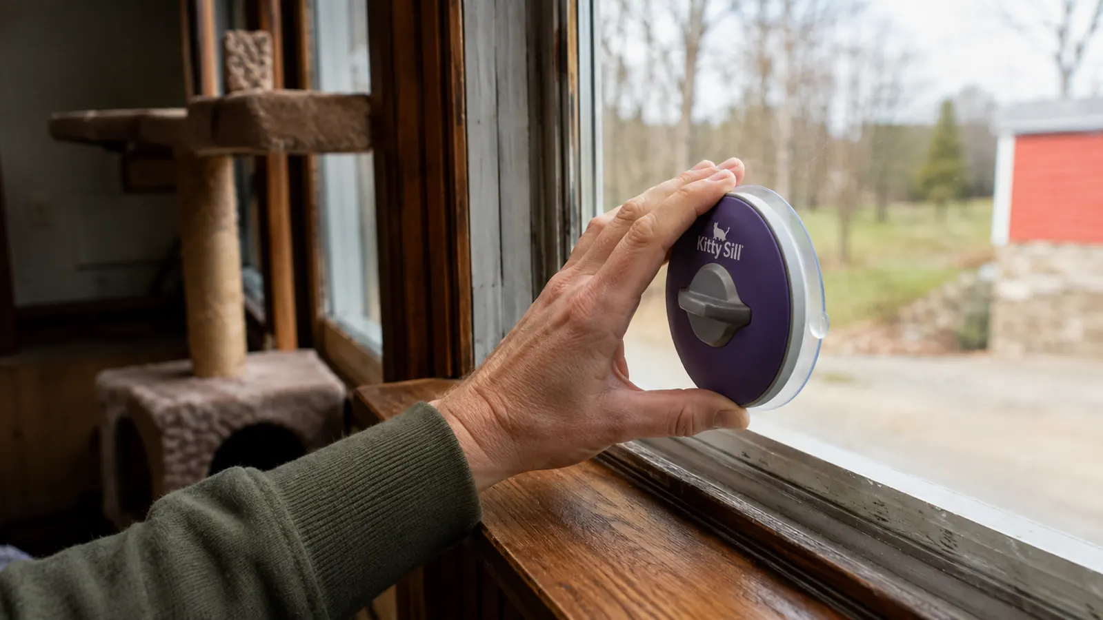 A hand pressing a suction cup mount flat against a clean window pane while a cat tree sits a few feet away in the same room